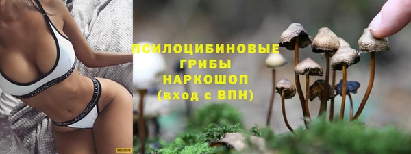 первитин Каменногорск